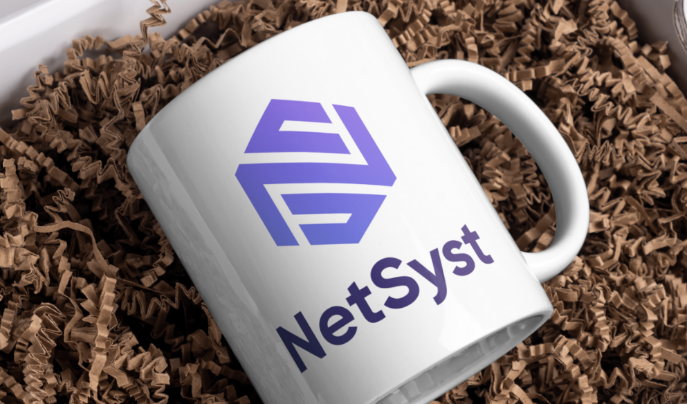 Logo de NetSyst